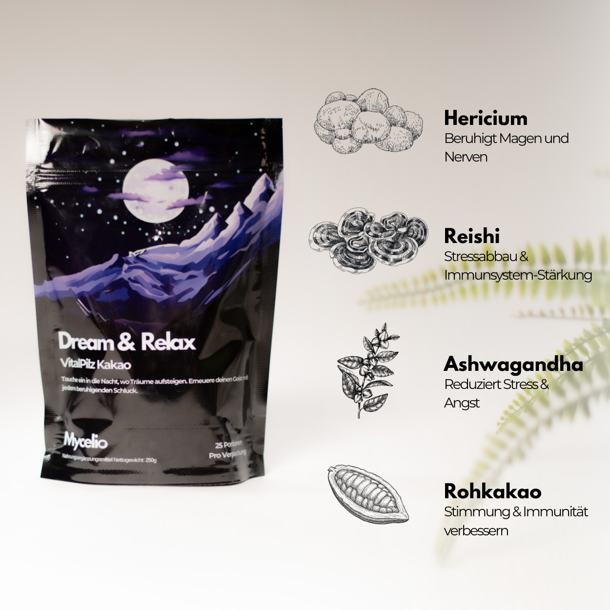 Mycelio Starterkit