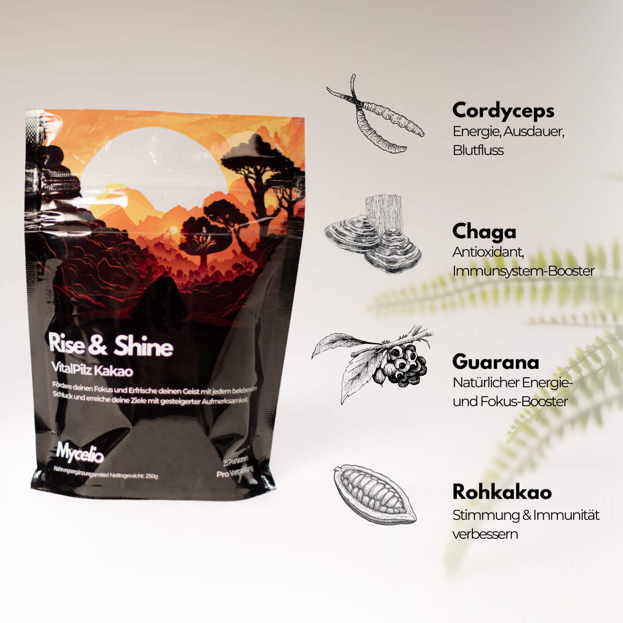 Mycelio Starterkit